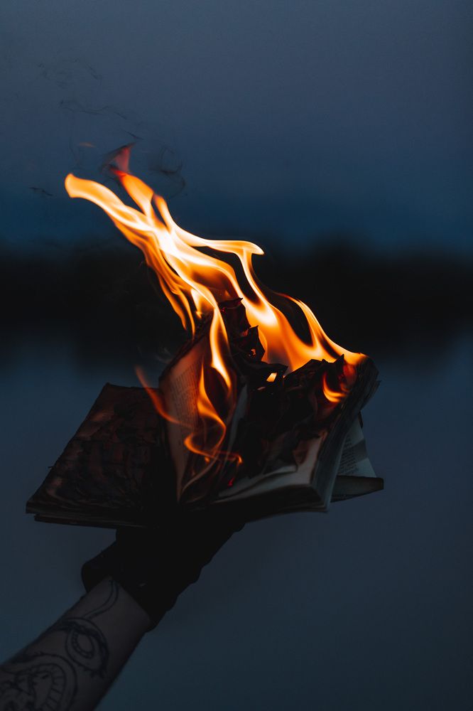 Фотография автора Fallen Angel