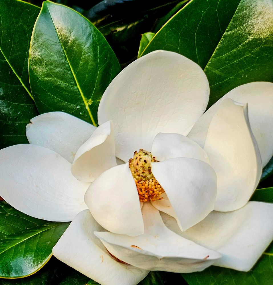Photograph by Ирина Андриенко