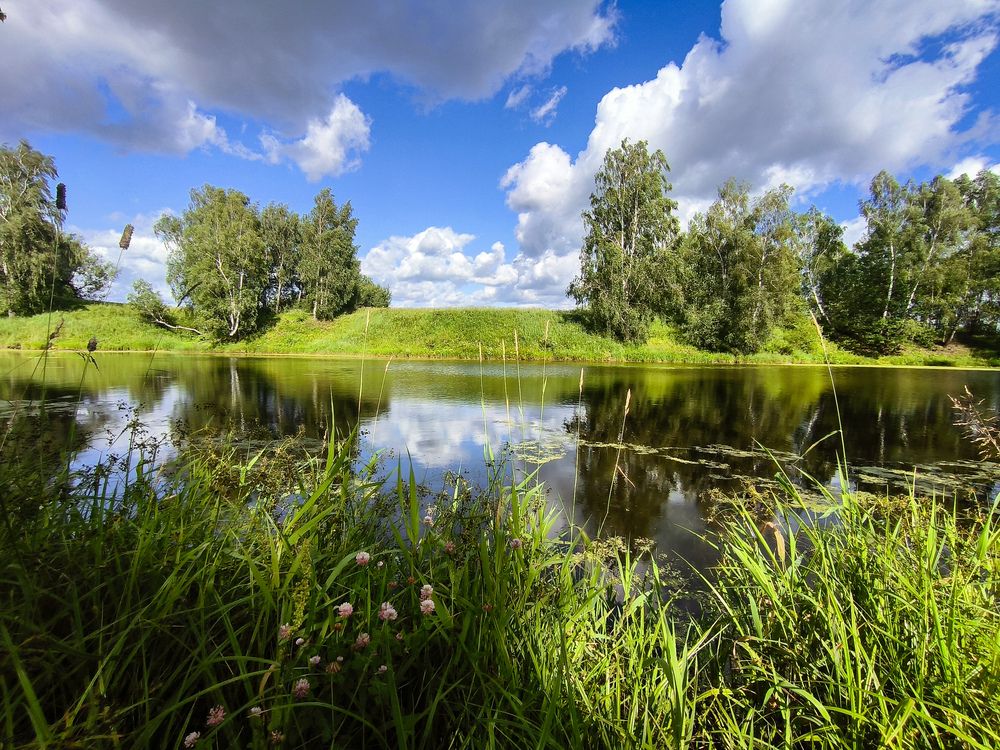 Photograph by Svetlana Gubanova