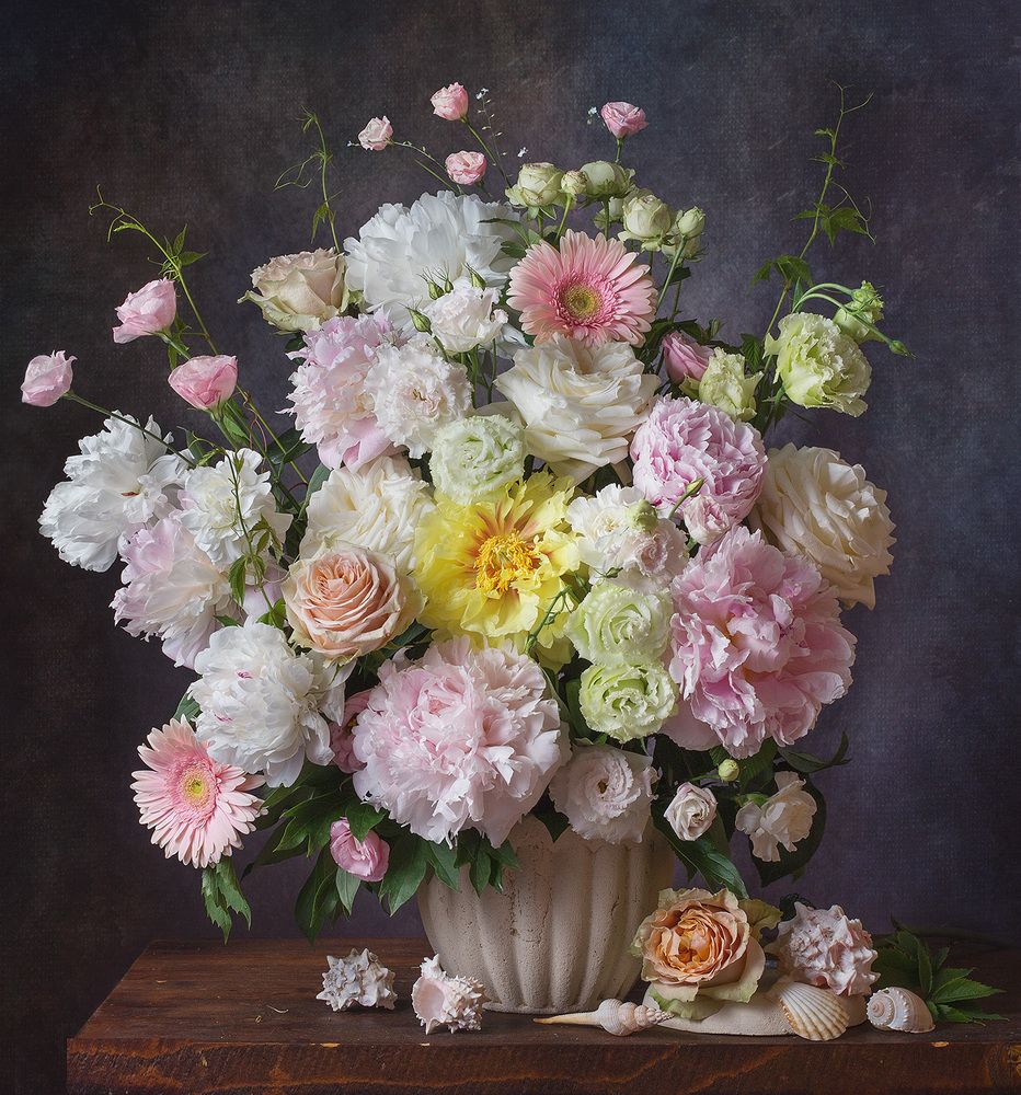 Фотография автора Алина Ланкина