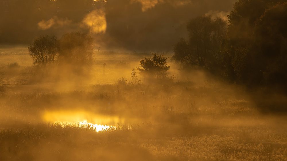 Фотография автора Александр Довганюк