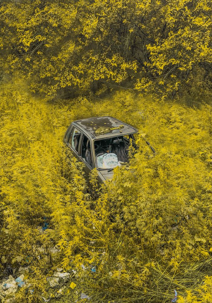 Photograph by Hamza Faraz