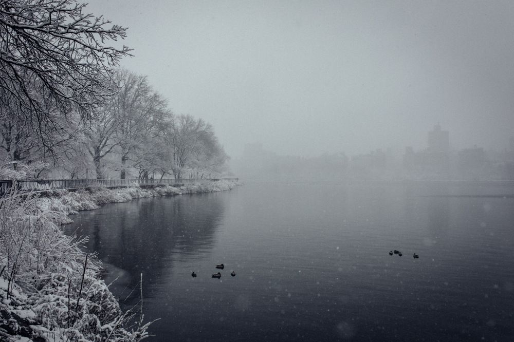 Фотография автора Alexandra Vainshtein