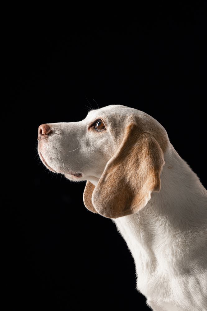 Photograph by Мария Калинина