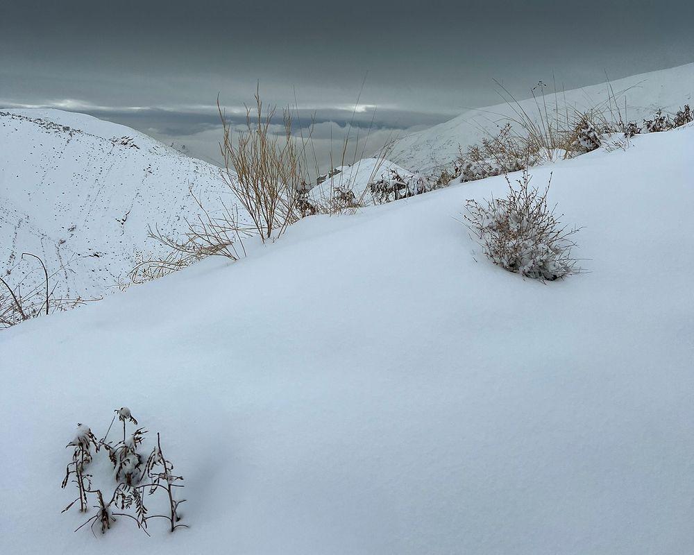 Photograph by Abolghasem Khoshro