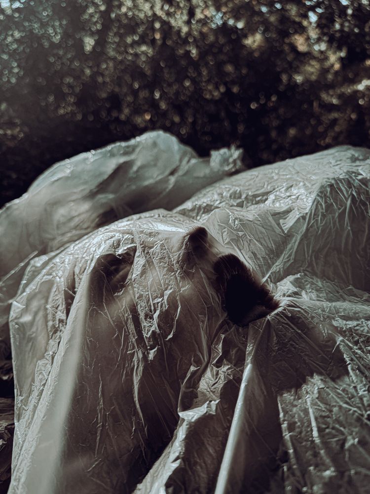 Photograph by Orest Matsalak