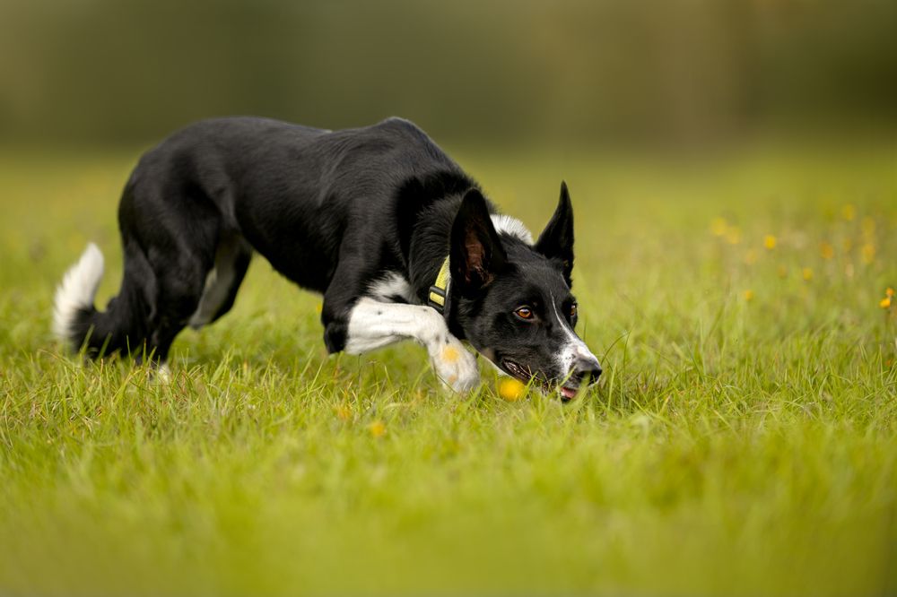 Photograph by Мария Калинина