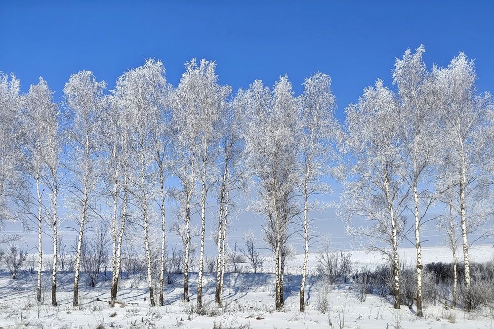 Photograph by Юлия Поликарпова