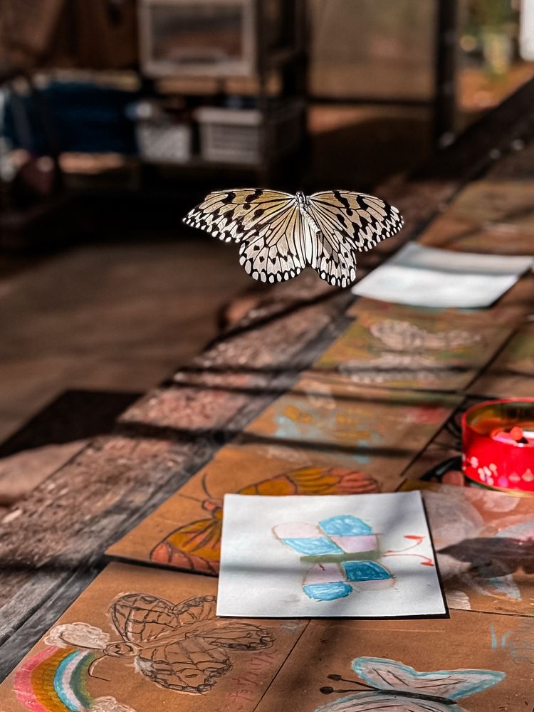 Фотография автора April Goodman