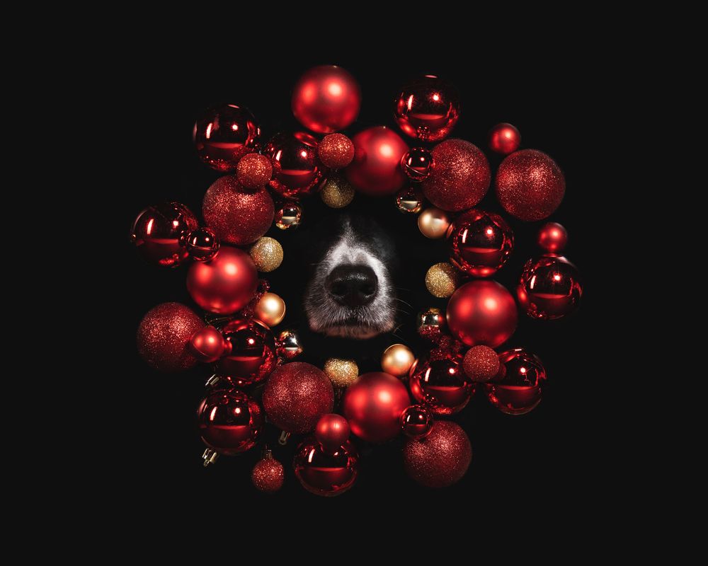 Photograph by Мария Калинина