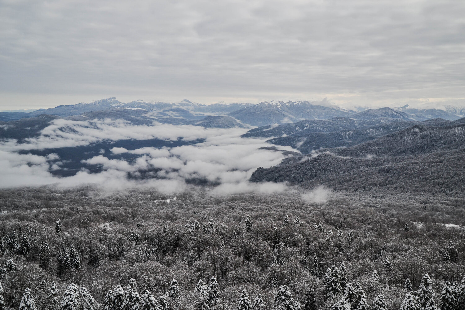 Photo #11956971