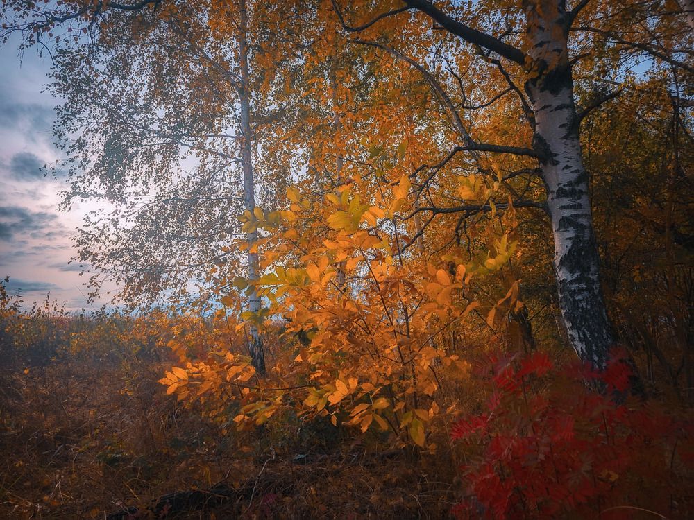 Photograph by Кирилл Сидоров