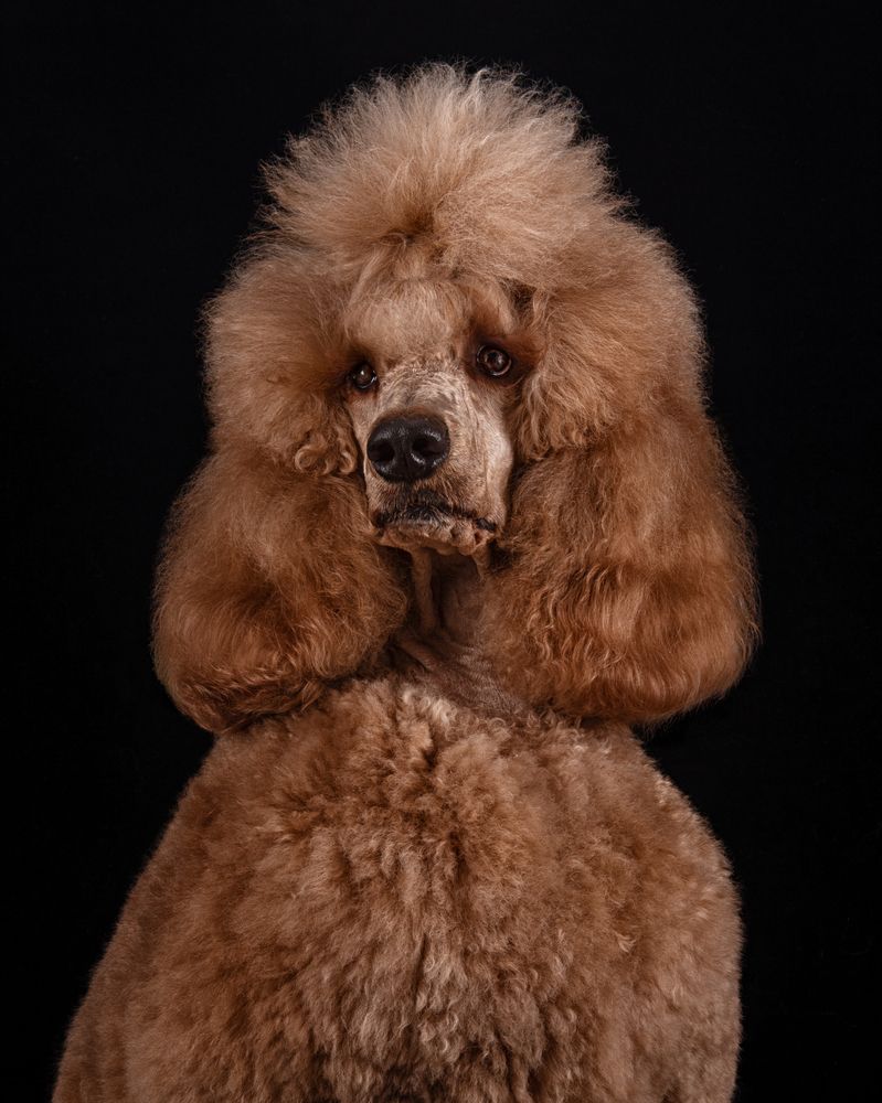 Photograph by Evgeniya Stafeeva