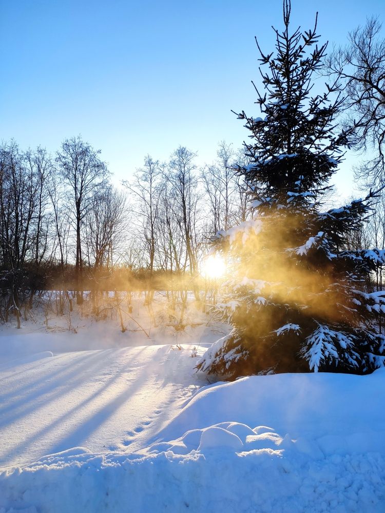 Фотография автора Юлия Шидловская