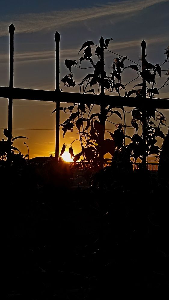 Фотография автора Татьяна Могилевцева