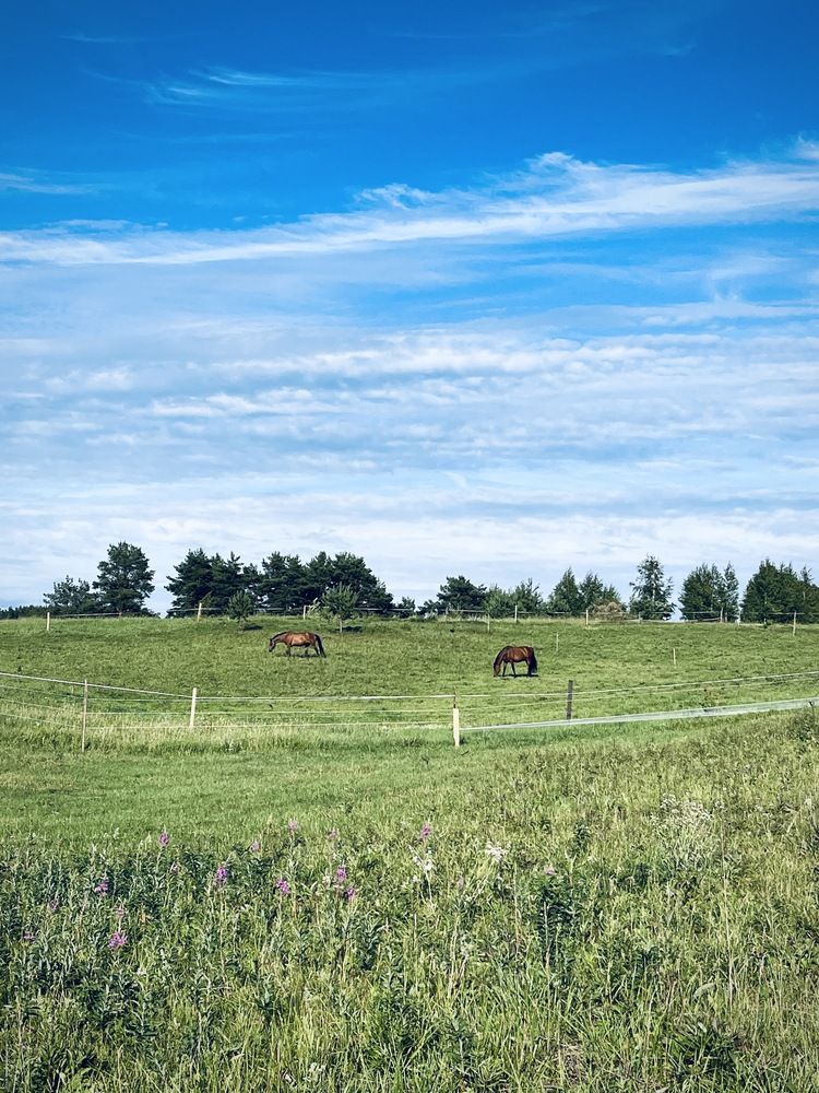 Photograph by Екатерина Сбитякова