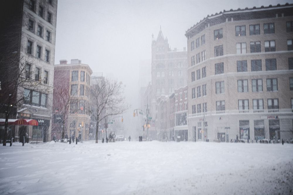 Фотография автора Alexandra Vainshtein