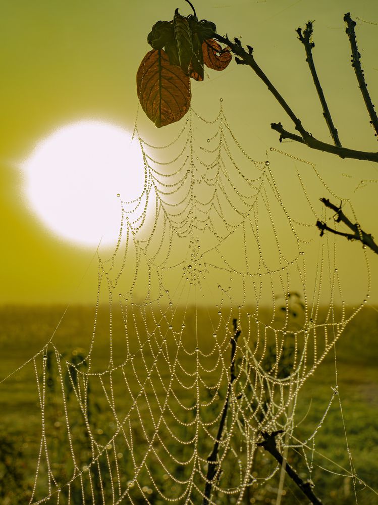 Photograph by Ринат Файзуллин