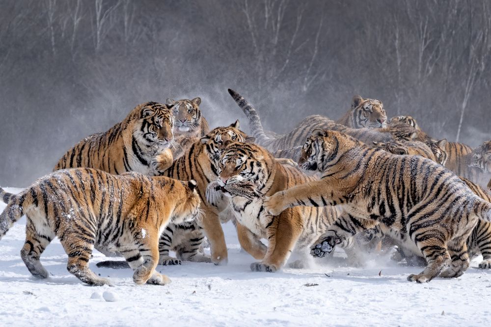 Photograph by Николай Мозгунов