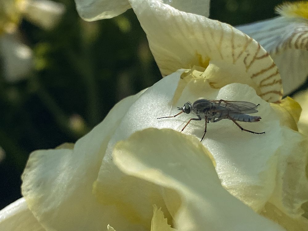 Photograph by Светлана Долганова