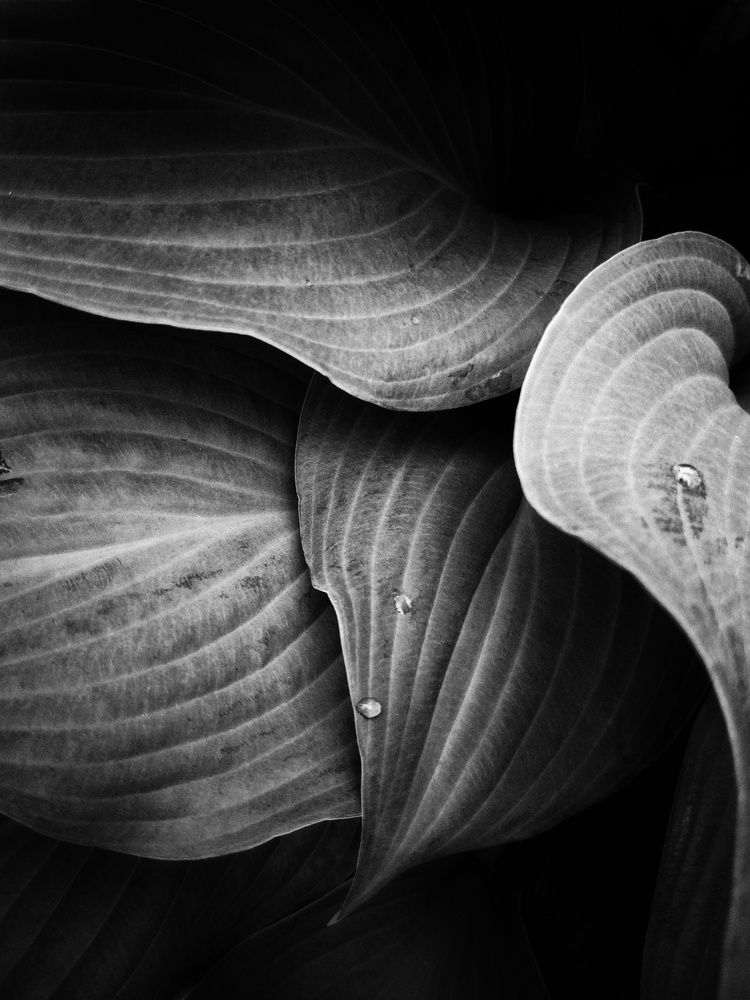 Photograph by Людмила М