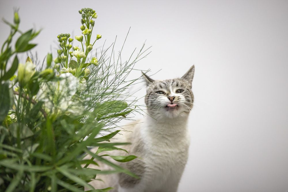 Photograph by Александр Парфенов