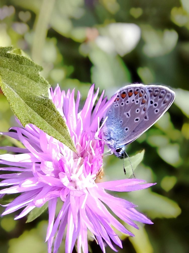 Photograph by Куделенко Оксана