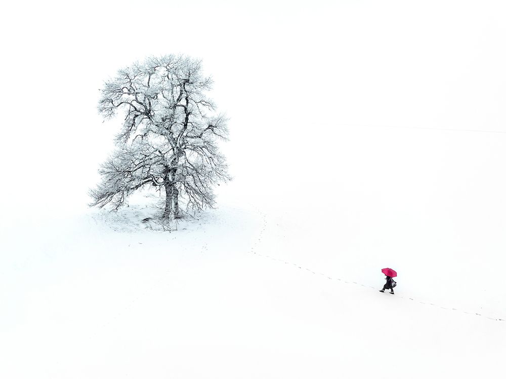 Фотография автора MARIAN PLAINO