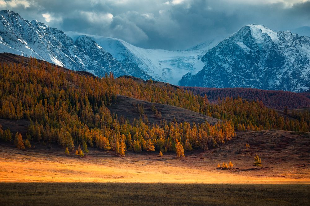 Photograph by Андреев Сергей