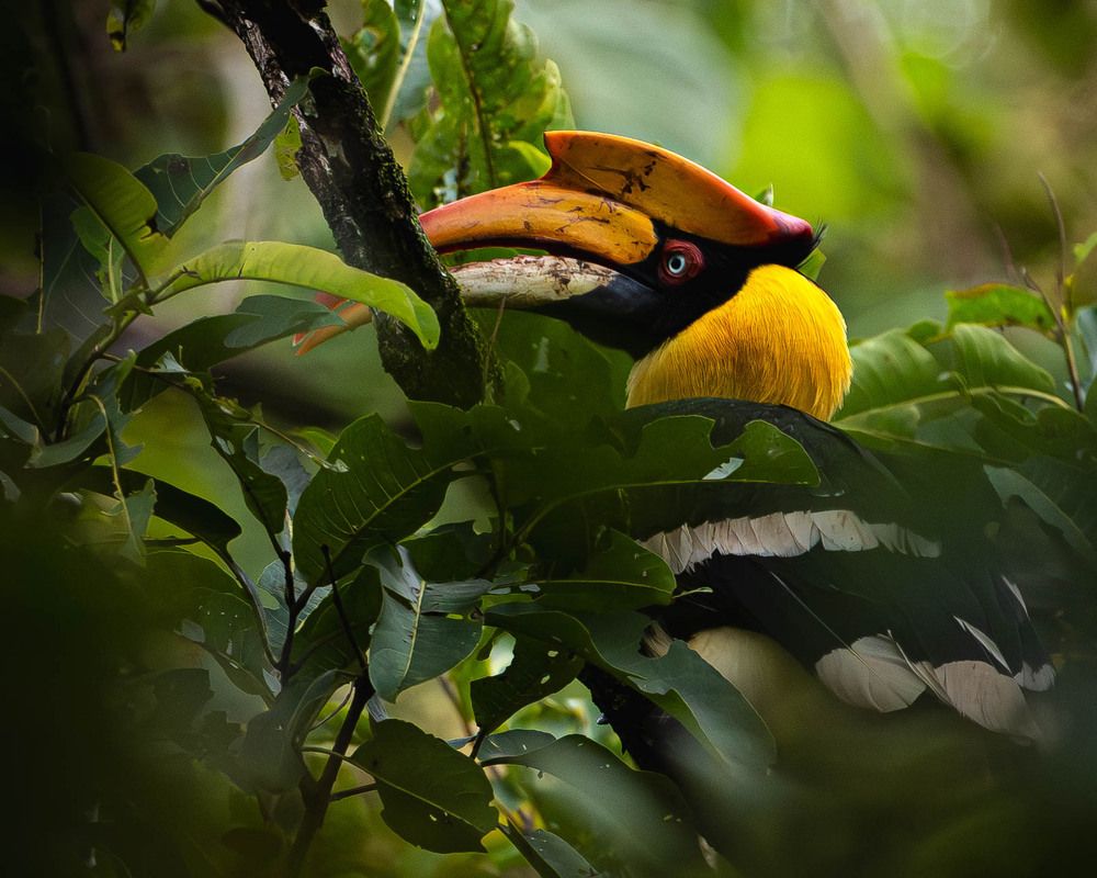 Photograph by Shiva Kumar. R