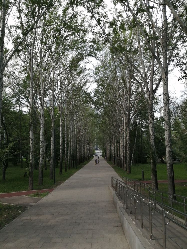 Photograph by Наталия