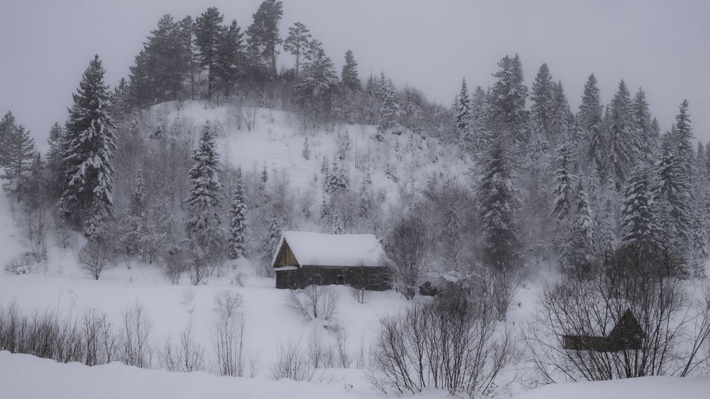 Photograph by Ольга Челдыкова