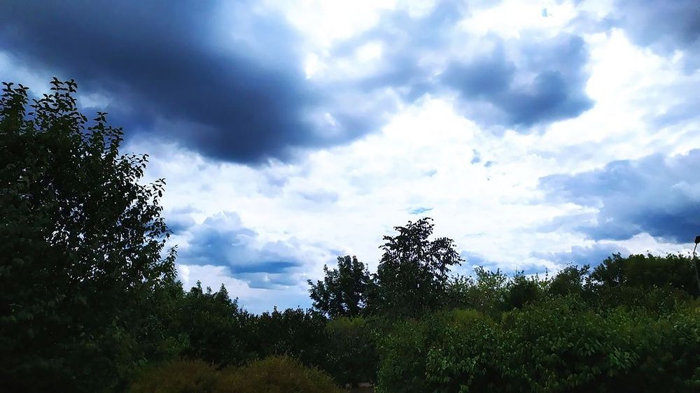 Photograph by Юлия Холомцева