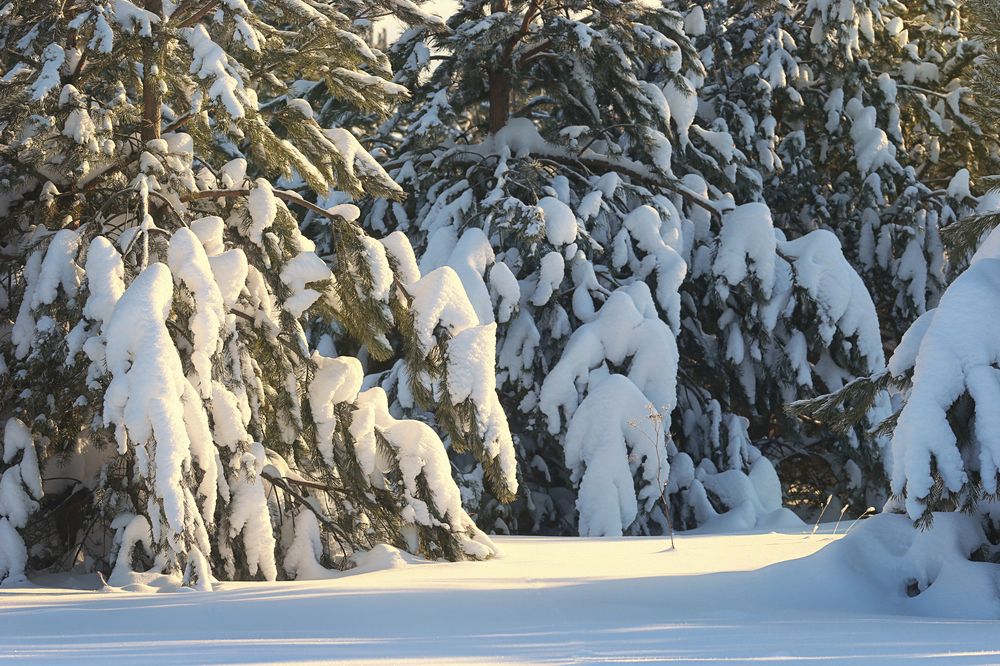 Photograph by Оксана Червинская