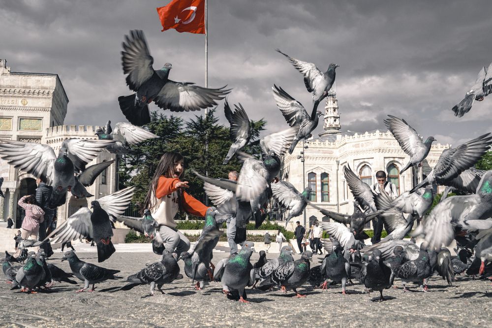 Photograph by Mattia Massaiu