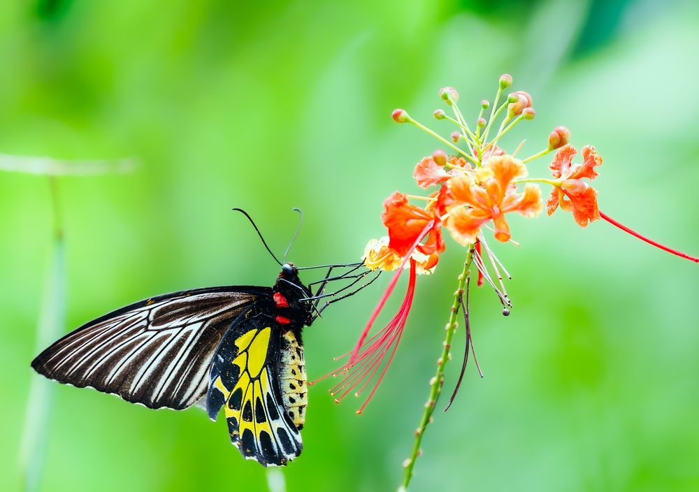 Фотография автора Sajeev Krishnan