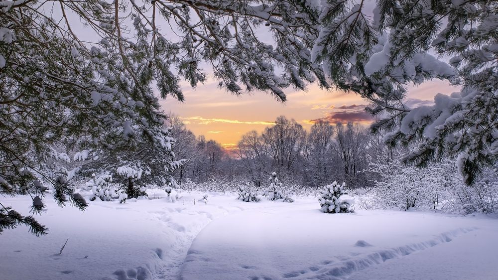 Photograph by Людмила Железнова