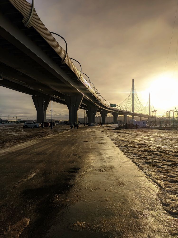 Фотография автора Inna Evseeva