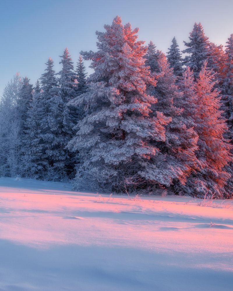 Photograph by Архипкин Александр