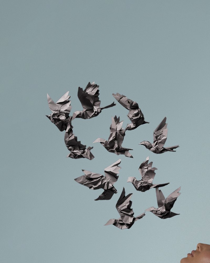 Фотография автора Анастасия Подкорытова