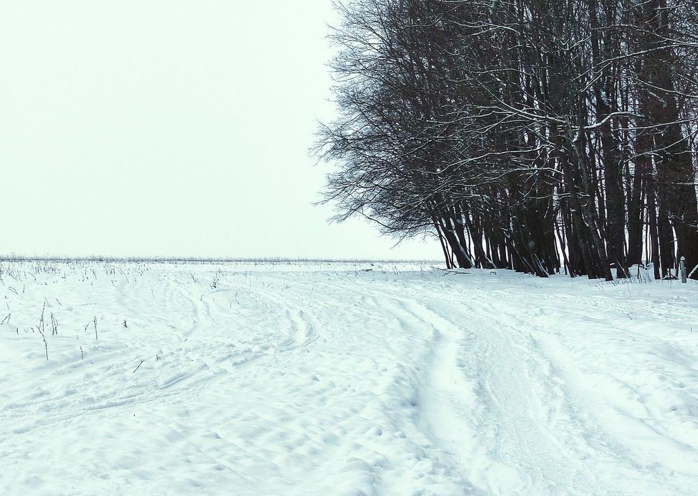 Зимний день. Февраль.