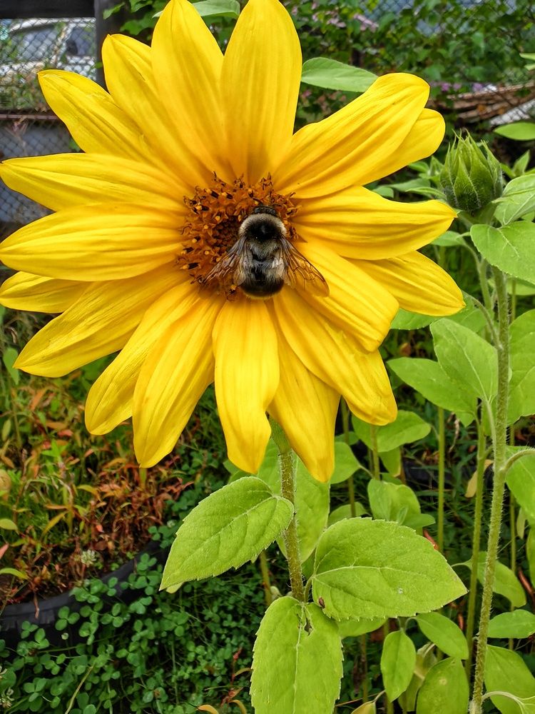 Photograph by Анастасия Зайцева