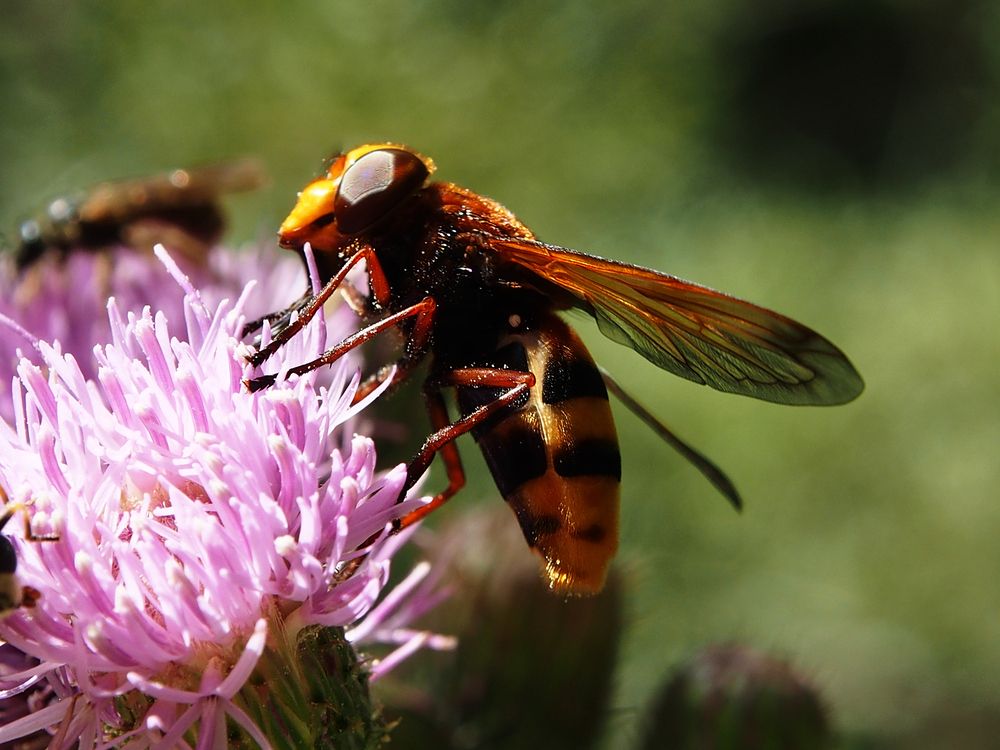 Photograph by Abdolreza Aleagha