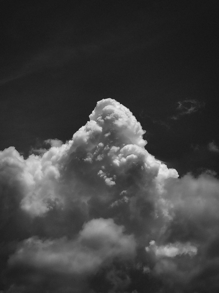 Photograph by Allan Carvalho