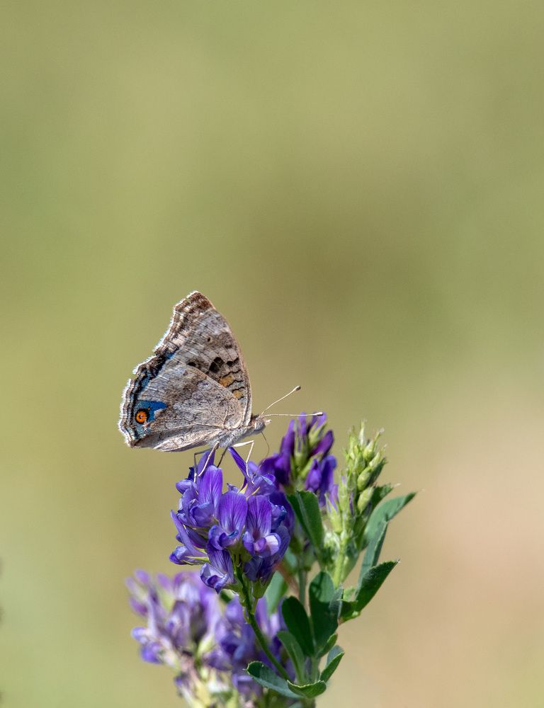 Фотография автора Sajeev Krishnan