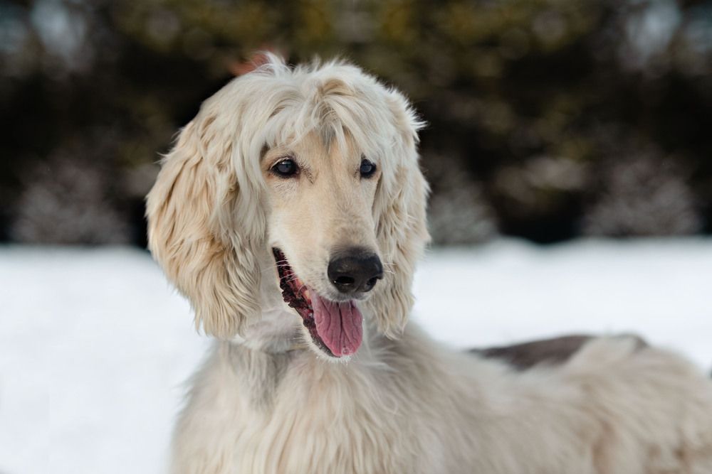 Фотография автора Екатерина Полякова
