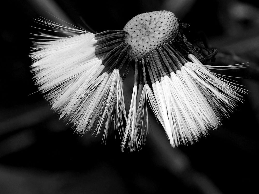 Photograph by Abdolreza Aleagha