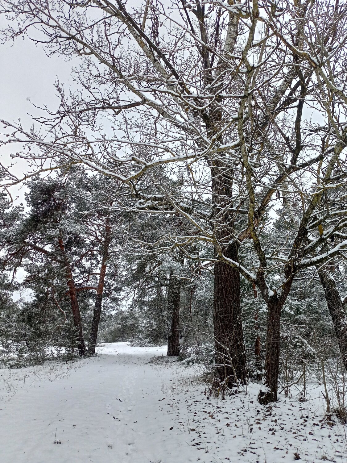Photo #11957511