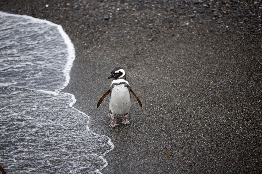 Photograph by Timur Korotkov