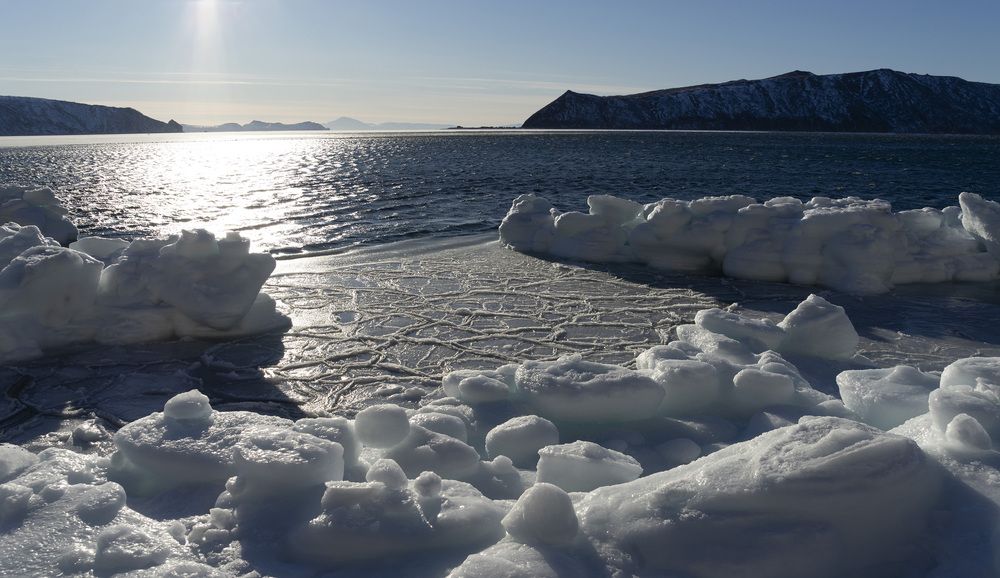 Photograph by Светлана Гореликова